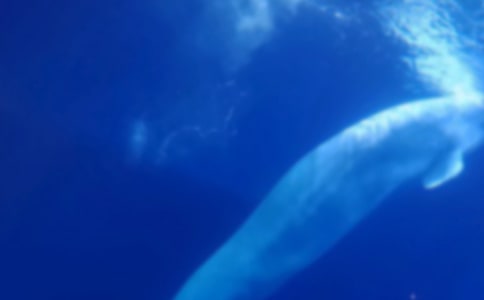 ��������400��