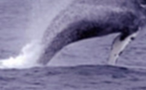 ���������400��5ƪ