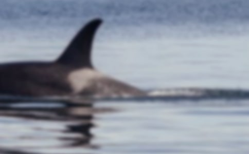 �������������350�֣�ͨ��4ƪ��