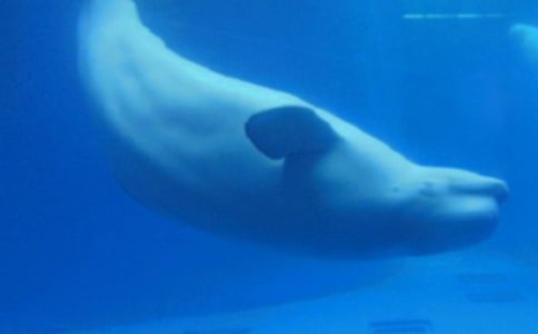 ʵ�õľ�������300��4ƪ