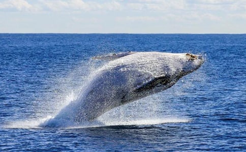 ���Ƽ������������400��3ƪ