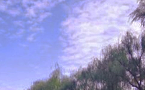 �Ծ�ɫΪ��������꼶����