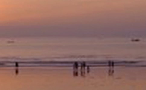 ��԰��ɫ������[��15ƪ]