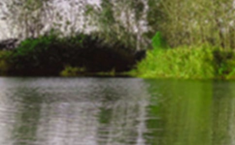 ����ѡ�����꼶��ɫ���Ļ���7ƪ