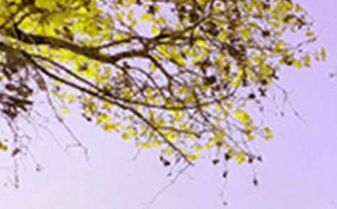 ���Ƽ������꼶��ɫ��������ƪ