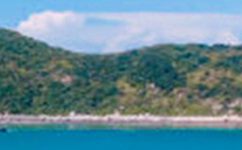 ���꼶��ɫ���ļ���8ƪ