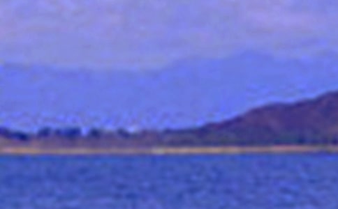 (��ѡ)��д��ɫ����