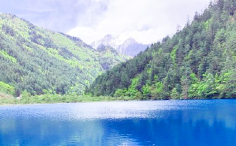 ��կ���μ����ġ�����