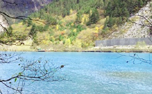 ��կ���μ�����300�֣�ͨ��8ƪ��