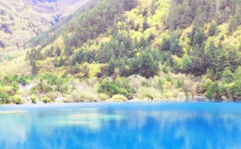 �Ĵ���կ����������400�ֻ���[15ƪ]