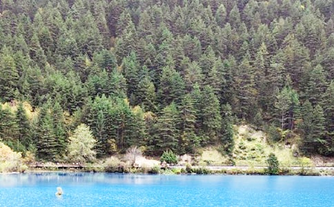 ��կ���μ�����400�֣�ͨ��30ƪ��