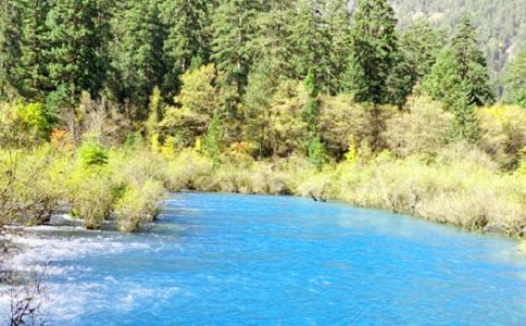 �����ľ�կ��д������3ƪ