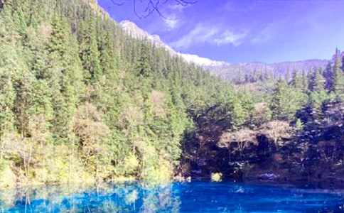 ��կ��д������12ƪ