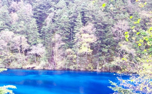 难忘九寨沟游记作文