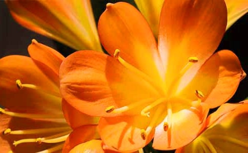 ������350������