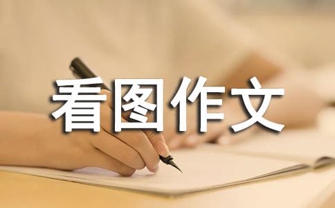 有关六年级看图作文300字集锦5篇