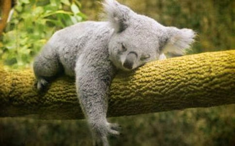 ��ѡ����������300��4ƪ