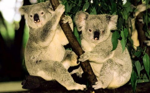 ���ȡ���������400��