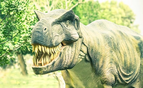 �йؿ�����԰���ĺϼ�9ƪ