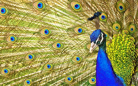 ��ȸ���꼶����4ƪ