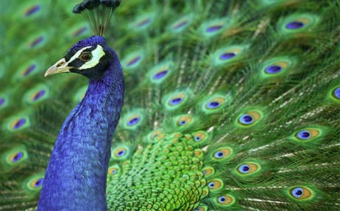 �����Ŀ�ȸ����300��