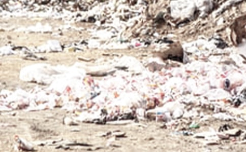 ����������300�֣���ѡ43ƪ��