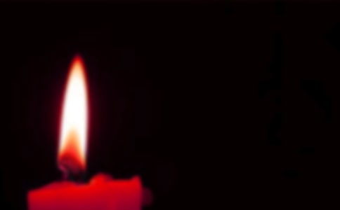 ����Сѧ����15ƪ