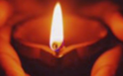 ����Сѧ����(15ƪ)