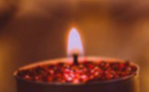 ����Сѧ���ĺϼ�15ƪ