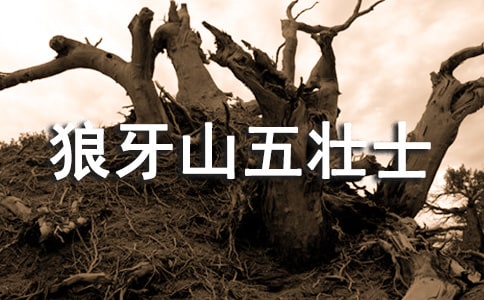 ��������ɽ��׳ʿ���иУ�����