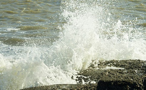 �����˻��ĳ�һ���ģ���ѡ10ƪ��