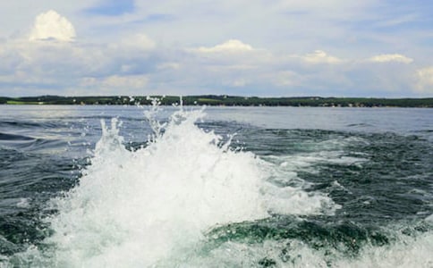 一朵美丽的浪花作文1000字