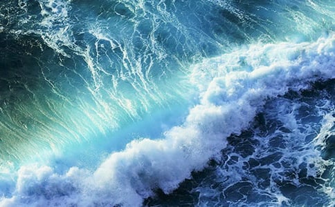 �ĺ�����Ƕ��˻�����600�֣���ѡ11ƪ��