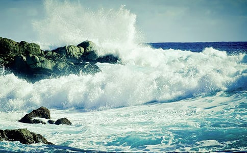 一朵美丽的浪花作文(精选16篇)