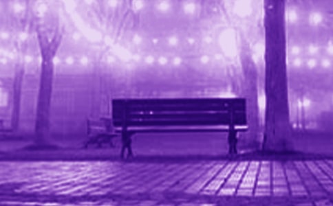 浪漫之旅小学作文