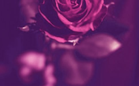 д������400��������������