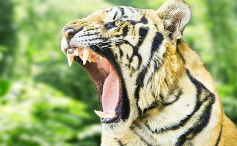 (�ϼ�)�ϻ�����600��