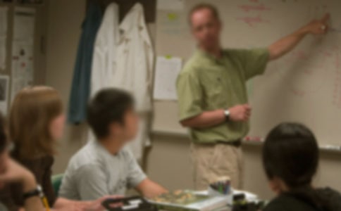 ��������ʦ��������