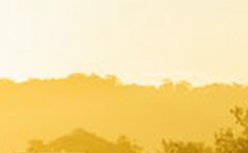 ����������600����ƪ