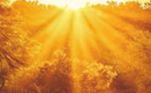 ����Ʒ������������300��3ƪ