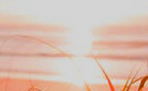 关于黎明的作文600字6篇