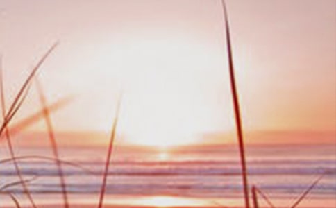 �й�����������300��3ƪ