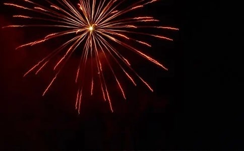 ��Сѧ����5ƪ