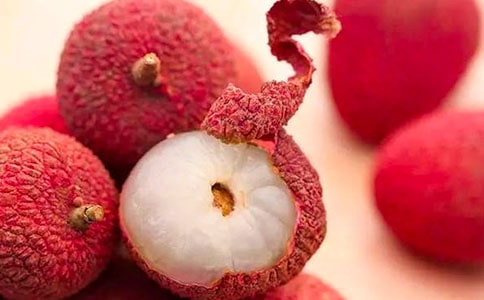 ʵ�õ���֦������300��4ƪ