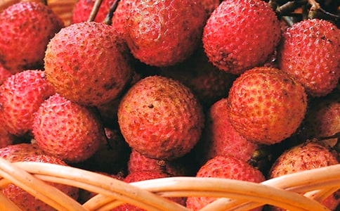 ��֦������300��4ƪ