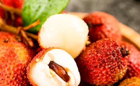 荔枝公园作文合集九篇