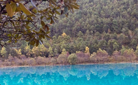 ȥ����������������ģ���ѡ11ƪ��