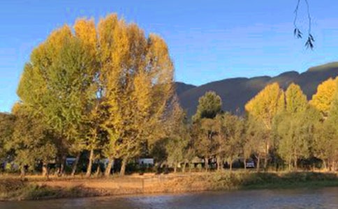 ����������300��