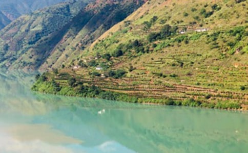 ��ѡ����������300����ƪ