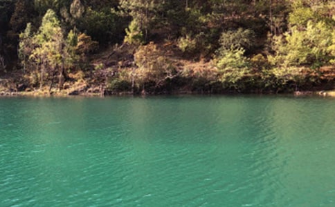 ��������������300��6ƪ